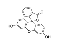 熒光素溶液，5g/L 