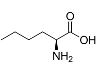 L-正白氨酸，98%（HPLC) 