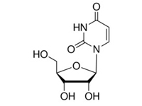 藥用尿苷 