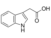 3-吲哚<em>乙酸</em>，CP，97%